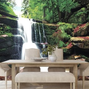 Carta da parati – Cascata nel bosco