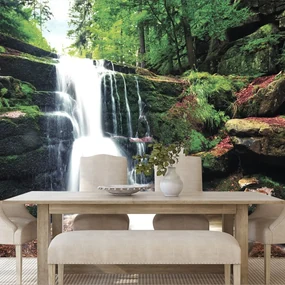 Carta da parati – Cascata nel bosco