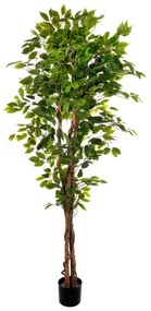Pianta artificiale senza vaso Ficus H 120