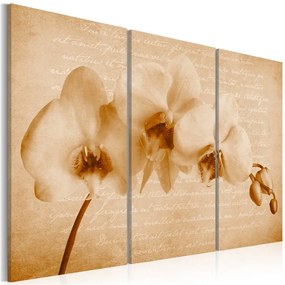 Quadro orchidea (vintage)