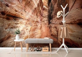 Carta da parati – Sentiero nel Grand Canyon