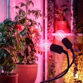 Lampada da tavolo flessibile con clip per piante PLANTY 2xE27/30W/230V nera