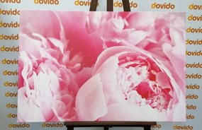 Stampa su tela – Petali di fiore
