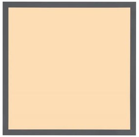 Globo 416080WD2 - Plafoniera LED DORO LED/24W/230V