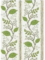 Tapete Pomegranate Trail v. Nina Campbell - Green/ Chocolate