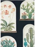 Tapete Terrariums von Sanderson - Ink/ Multi
