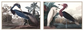 Quadro DKD Home Decor Uccello Orientale (83 x 4,5 x 123 cm) (2 Unità)