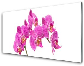 Quadro vetro acrilico Fiori di orchidea Natura 100x50 cm