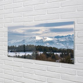 Quadro vetro acrilico Montagne Snow invernale 100x50 cm