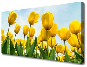 Quadro stampa su tela Tulipani, fiori, piante 100x50 cm