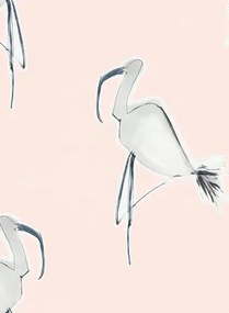 Flamingo Tapete Zanzibar von Scion - Blush