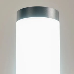 BRILAGI-LED ELIA lampada da esterno dimmerabile 1xE27/6W/230V 2700-6500K IP44 50 cm antracite