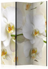 Paravento design Ramo di orchidea - gigli bianchi su sfondo leggero