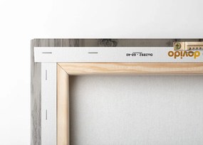 Stampa su tela – Zebra con giornale in bagno