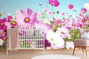 Carta da parati – Prato di Fiori Primaverili