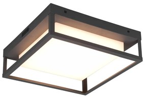 Applique da esterno a LED (altezza 10 cm) Witham - Trio