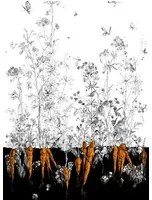 Edmond Petit Carta da parati Lièvres/Fenouil/Tournesol - Noir Orange - Fenouil Sauvage Gauche - Noir Orange Doré