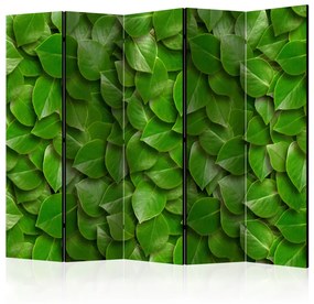 Paravento Secret Garden II - composizione di texture vegetali con foglie verdi