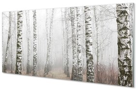 Quadro vetro Nebbia di betulla 100x50 cm