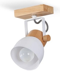 Luce Spot da parete VIANA 1xE27/60W/230V
