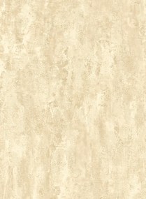 Arte International Carta da parati Stucco - Soft Beige