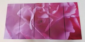 Quadri 5 pezzi – Petali di garofano