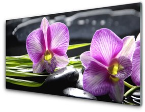Quadro su vetro acrilico Pietre Orchid Zen Spa 100x50 cm