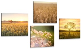 Set di quadri – Campo al tramonto