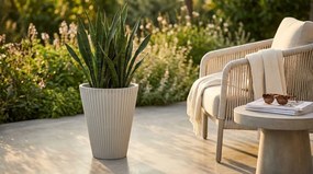 MERCEDES - vaso medio