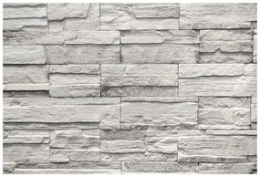 Carta da parati – Pietra Grigia Elegante