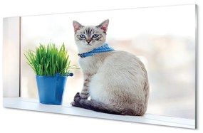 Quadro acrilico Sedute gatto 100x50 cm