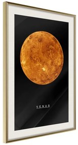 Poster The Solar System: Venus