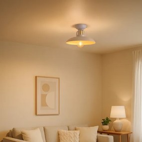 Brilagi - Lampadario a plafone FLAMENGO 1xE27/60W/230V beige