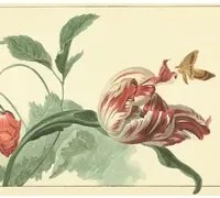 Eijffinger Carta da parati Tulip and Poppy - Mehrfarbig Weiß