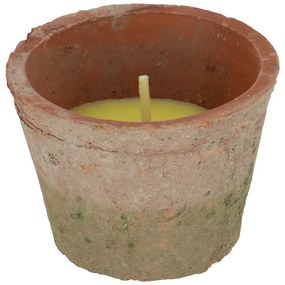 Candela profumata tempo di combustione 10 h Citronelle - Esschert Design