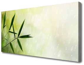 Foto quadro su tela Foglie di pioggia 100x50 cm