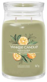 Sage e Citrus, candela giara grande Yankee Candle