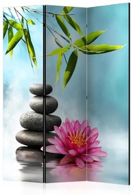 Paravento  Water Lily and Zen Stones [Room Dividers]  Colore Blu, Dimensioni e Misure 135x172