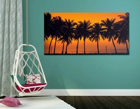 Stampa su tela – Tramonto sulle palme