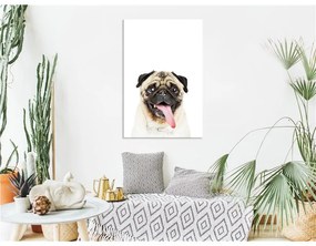 Quadro Pug (1 Part) Vertical  Colore Bianco, Dimensioni e Misure 60x90