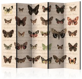 Paravento Retro Style: Butterflies II [Room Dividers]