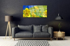 Quadro su vetro acrilico Prato, fiori, arcobaleno, natura 100x50 cm