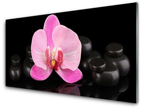 Quadro acrilico Pianta di pietre di fiori 100x50 cm