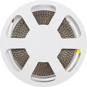Striscia LED 24V 25W/m Altissima Luminosità Professionale - IP20 - 5 metri