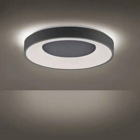 Leuchten Direkt 14326-18 - Lampada LED dimmerabile ANIKA LED/30W/230V + T