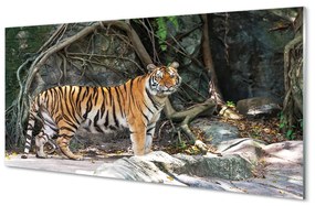 Quadro su vetro acrilico Jungle Tiger 100x50 cm