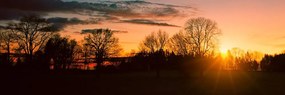 Quadro su tela – Splendido tramonto