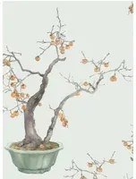 Cole & Son Carta da parati Kaki Persimmon - Jade Green/ Marigold