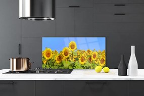 Pannello paraschizzi cucina Pianta di fiori di girasole 100x50 cm