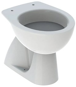 Vaso WC distanziato GEBERIT colibri scarico a pavimento, sedile escluso P 53 x L 36 x H 39 cm bianco